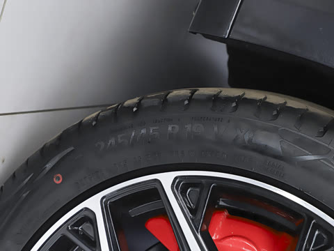 2025�� ���� 650MaxѲ����