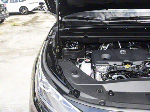 2026�� 2.5L���ܵ��˫��������Ӣ�� 5��