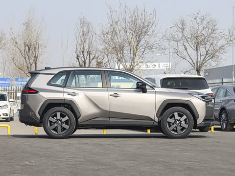 2026�� ˫�� 2.5L ����������