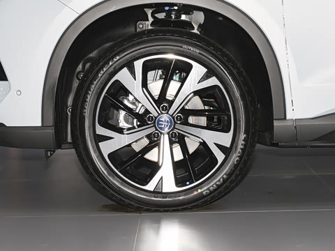 2026�� DM-i 220KM׿Խ��