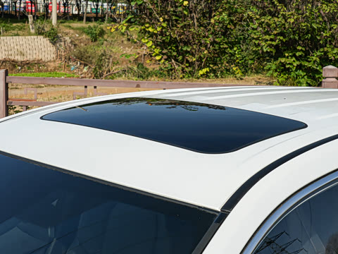 2026�� 2.0L ���ܵ��˫�� ������