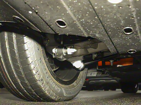 2026�� Elite �����