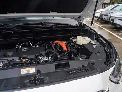 2026�� 2.5L���ܵ��˫���������� 7��