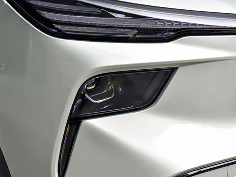 2025�� 565km ������