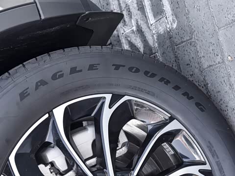 2025�� �Ŀ� 2.0T ����������