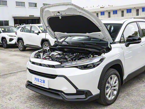 2026�� 2.0L ���ܵ��˫�� ���Ȱ�