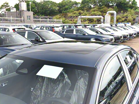 2026�� B4 ��Զ������