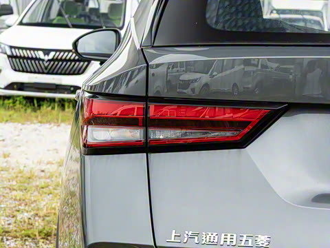 2026�� 1.5L �ֶ�������