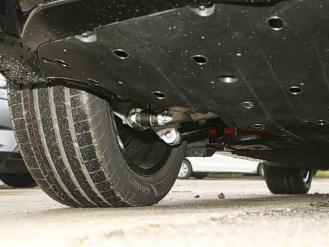 2026�� Elite �����