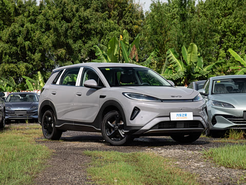2026�� DM-i 220������