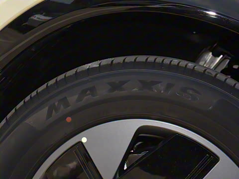 2025�� 602 ������ Max