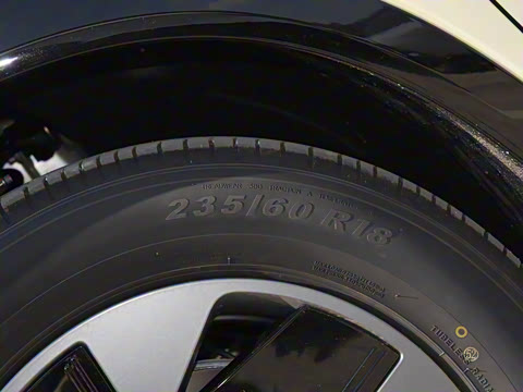 2025�� 602 ������ Max