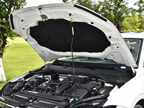 2026�� L 300TSI DSG ������