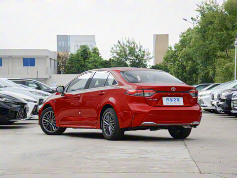 2024�� ���ܵ��˫�� 2.0L ������