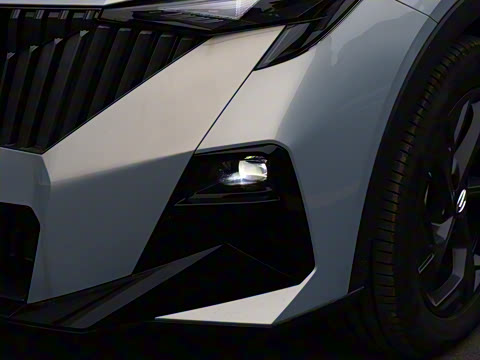 2026�� Ӱ�� 270T ������