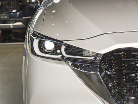 2025�� 2.0L �Զ�����������