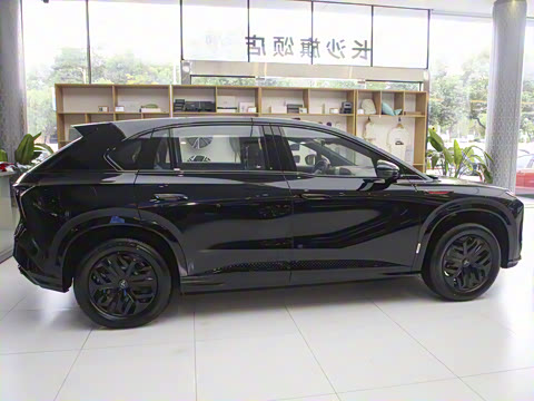 2025�� 520 Max������