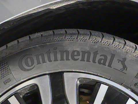 2025�� ������