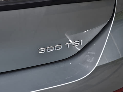 2026�� L 300TSI DSG ������