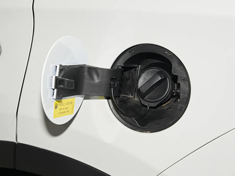 2025�� 1.5L �ֶ���Խ��