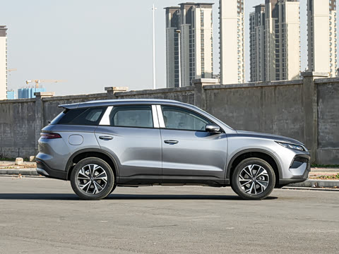 2026�� DM-i 133KM��ȡ��