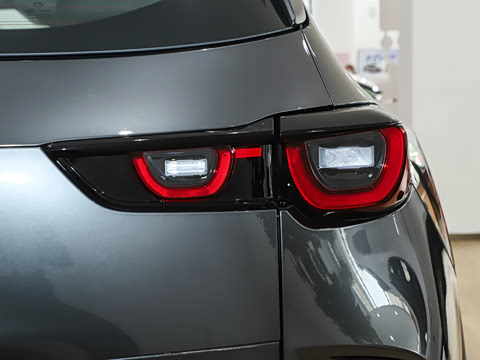 2026�� 2.5L ���а�