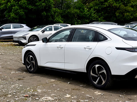 2026�� 1.5L �������� ������