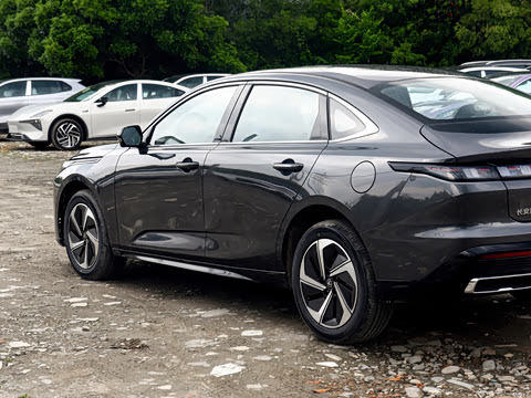 2026�� 1.5L �������� ������