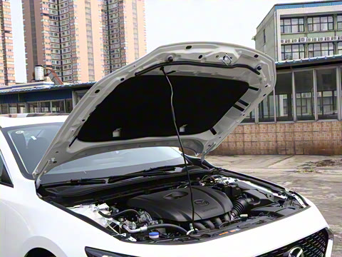 2025�� 2.0L �Զ����Ű�