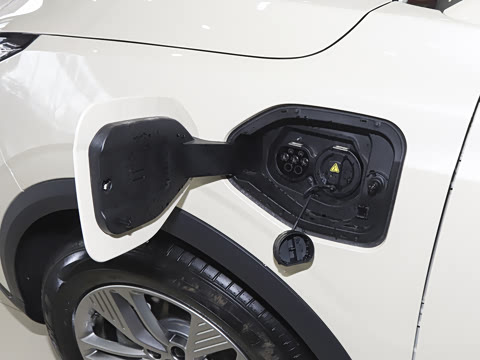 2026�� 565km ������