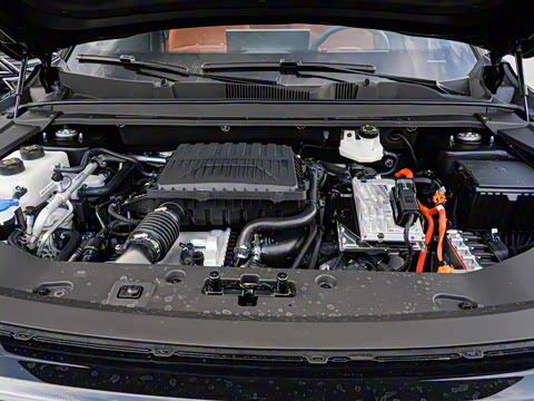 2026�� 220km ��Ӣ�� 5��