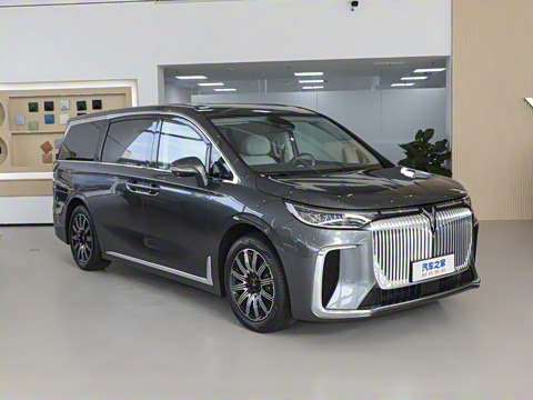 2025�� EV �������������