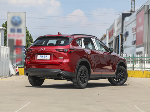 2025�� 2.0L �Զ���������Pro