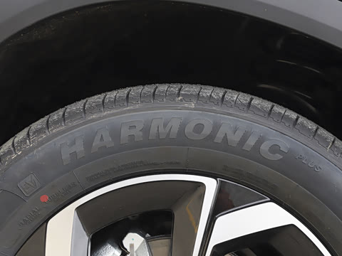 2026�� 530Խ����