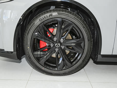 2025�� ����600�����˶���