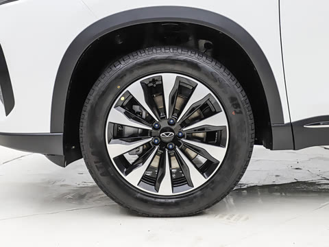 2025�� 290TGDI DCT���ư�