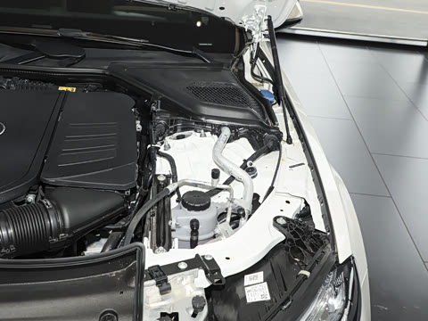 2024�� E 350 e L ���ʽ��϶����˶��γ�