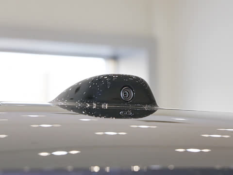 2025�� Max ������