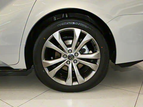 2026�� 2.5L ˫��������������