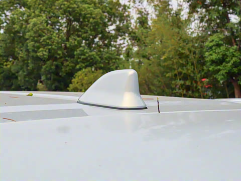 2026�� 2.5L ˫���������ʰ�