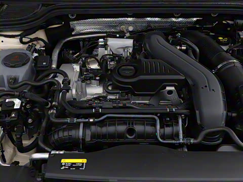 2025�� �Ŀ� 300TSI Pro