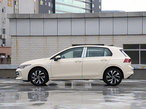 2025�� �Ŀ� 300TSI Pro