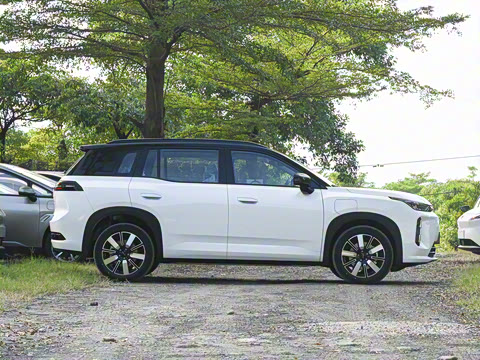 2026�� 650 ��׼��