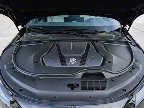 2025�� �Ǽݰ� DM-i 175KM �����