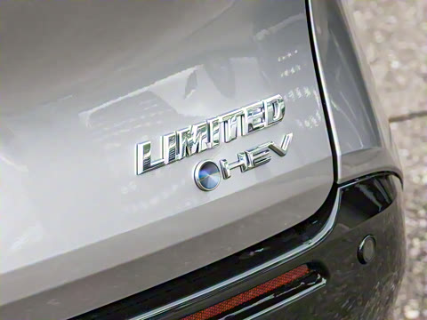 2026�� 2.5L ˫��������������