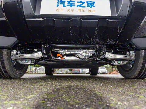 2025�� 520���������