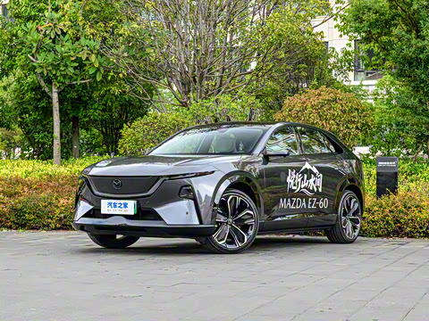 2025�� ����600 Max