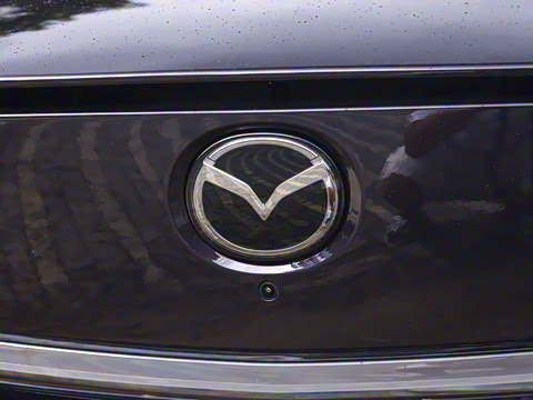 2025�� ����200 Max