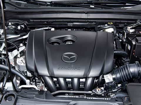 2025�� 2.0L �Զ�������