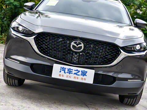 2025�� 2.0L �Զ�������